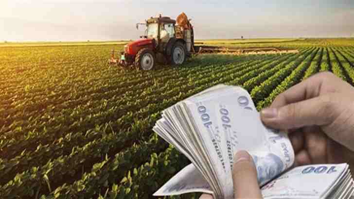 Aydın’da 47 bin çiftçiye 49 milyonluk destekleme ödemesi