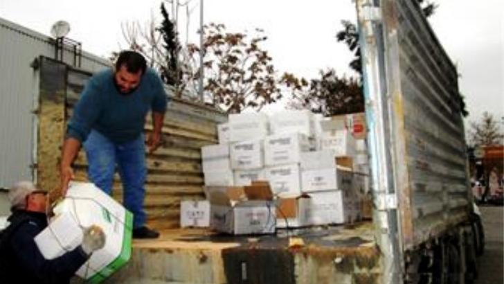 Aydın’da 10 ton bitki koruma ürünü imha edildi 