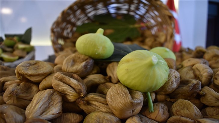 Aydın Ticaret Borsası, sezonun ilk kuru incirini üreticiden teslim aldı
